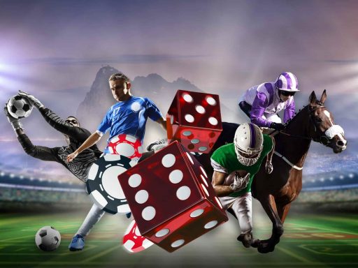 Which Sport Is Better to Bet On